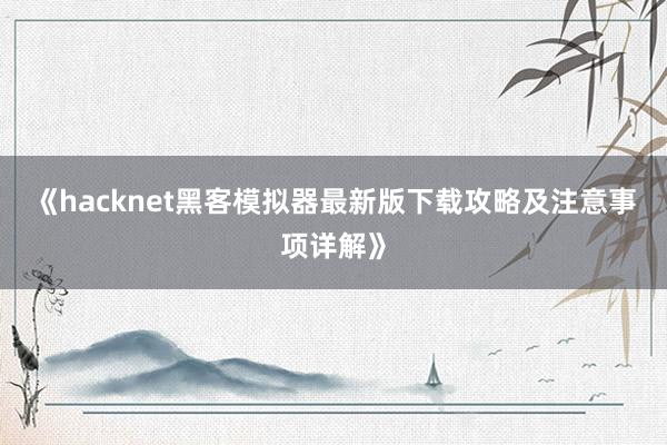《hacknet黑客模拟器最新版下载攻略及注意事项详解》